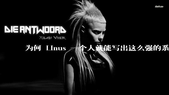 为何 Linus 一个人就能写出这么强的系统，中国却做不出来？