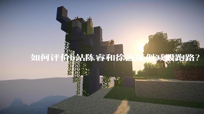 如何评价b站陈睿和徐逸疑似减股跑路？
