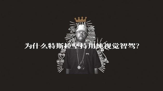 为什么特斯拉坚持用纯视觉智驾？