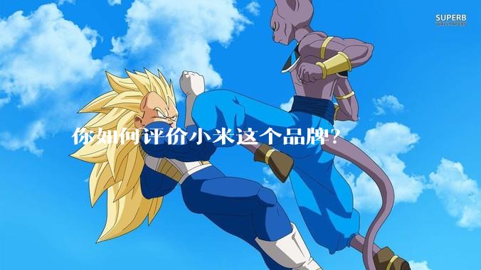 你如何评价小米这个品牌？