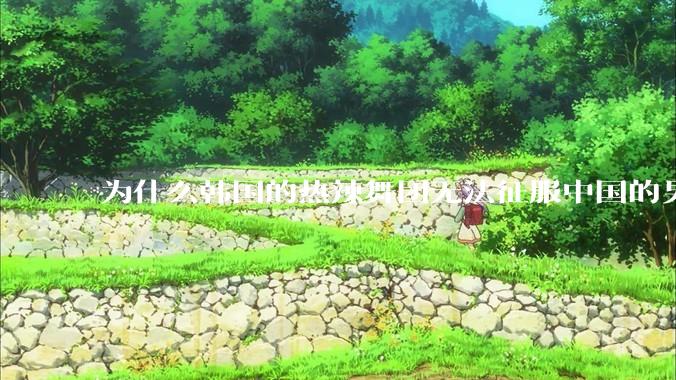 为什么韩国的热辣舞团无法征服中国的男性市场？？