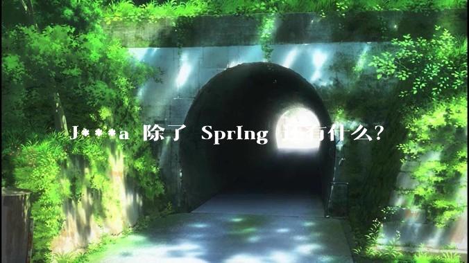 J***a 除了 Spring 还有什么？