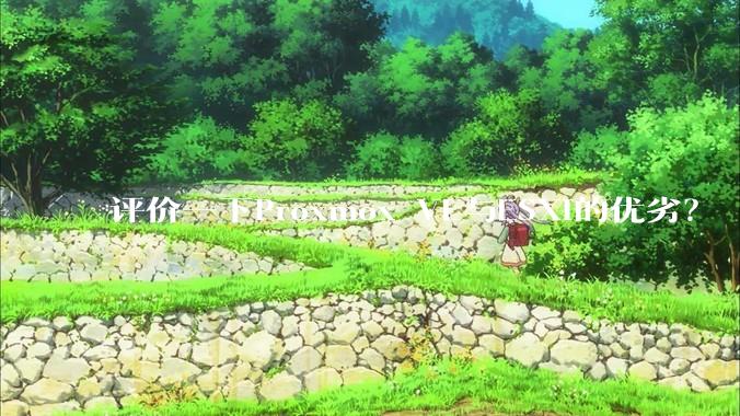 评价一下Proxmox VE与ESXi的优劣？