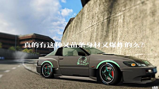 真的有这种又苗条身材又爆炸的么？