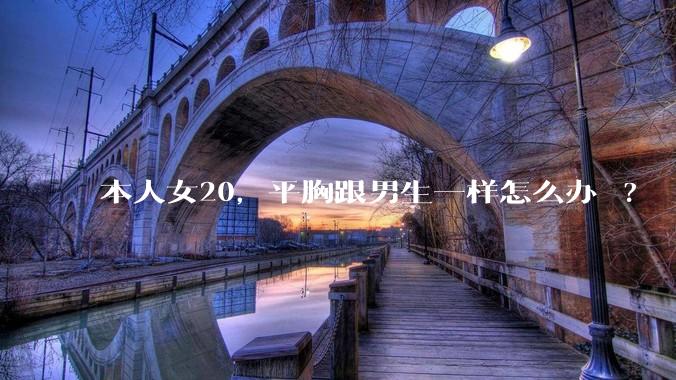 本人女20，平胸跟男生一样怎么办 ?