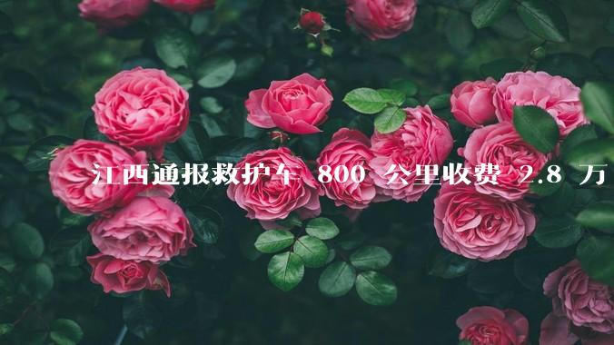 江西通报救护车 800 公里收费 2.8 万「不合理，暂停医院转运服务」，该医院要承担怎样的法律责任？
